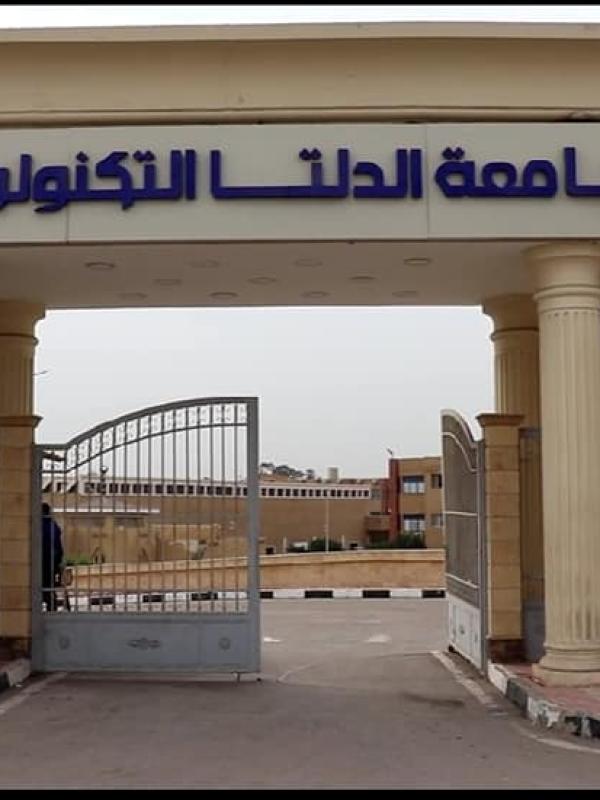 جامعة الدلتا التكنولوجية