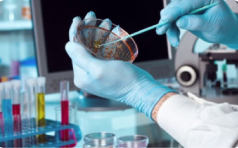 Microbiology And Immunology Department